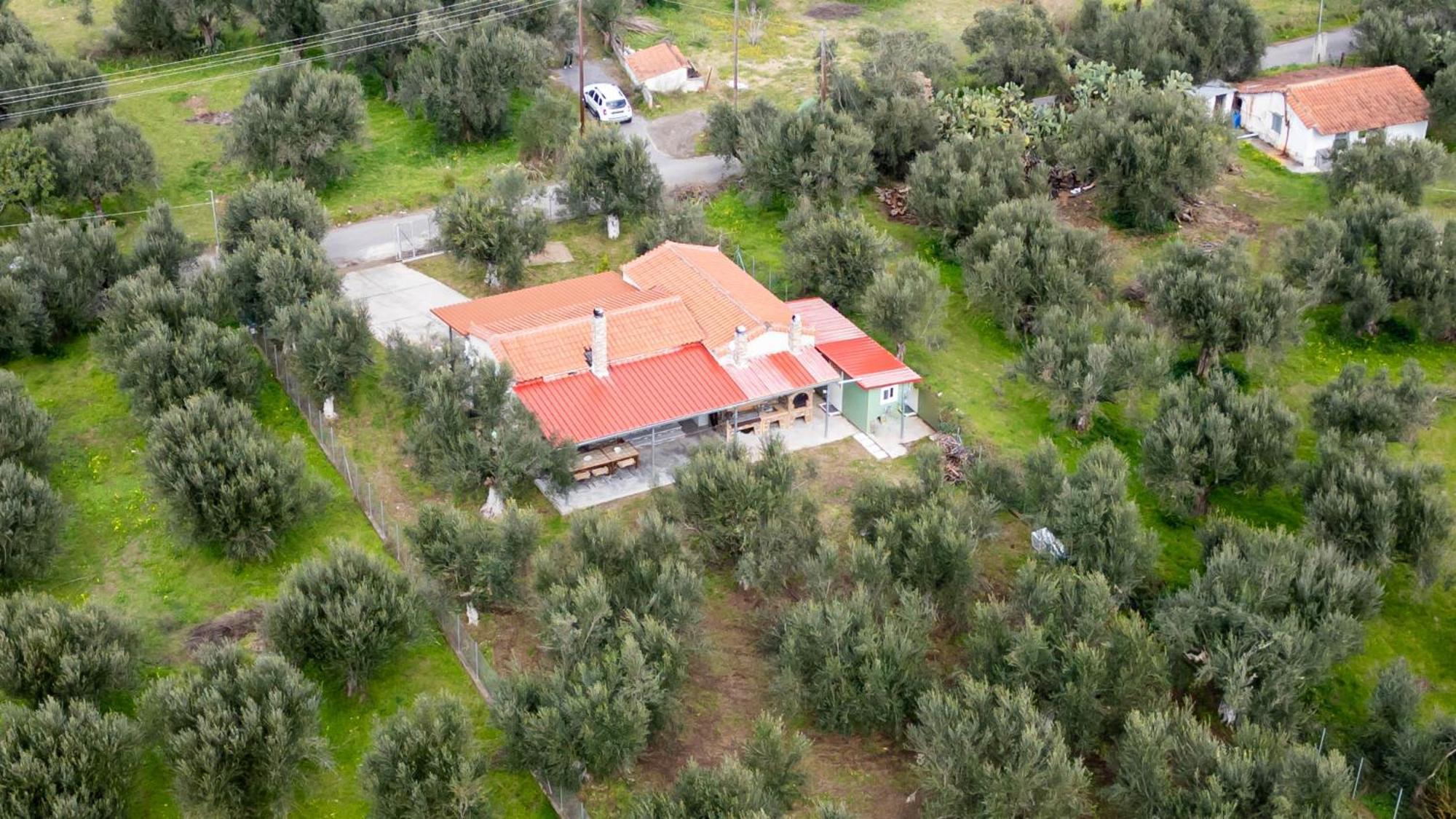Olive Grove Getaway Hébergement de vacances Oikhalía