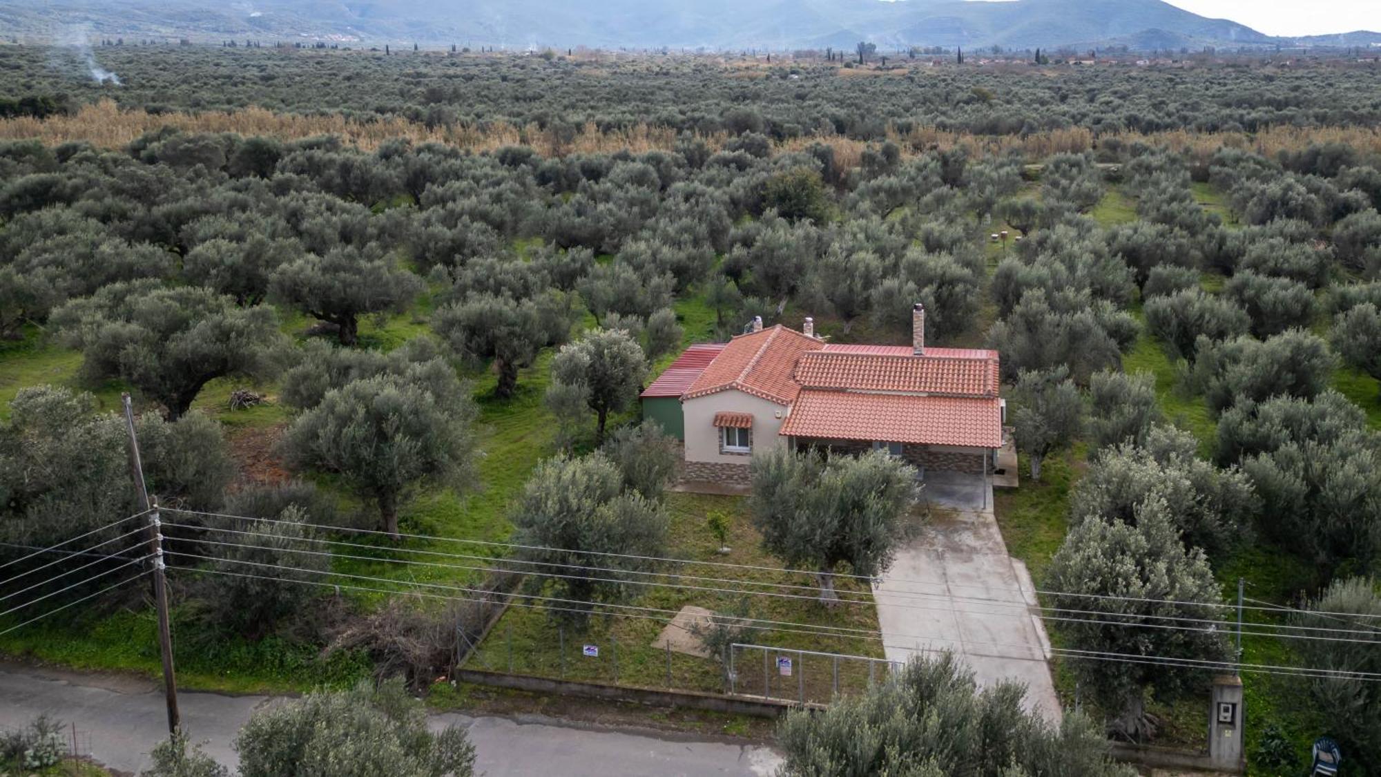 Hébergement de vacances Olive Grove Getaway Oikhalía